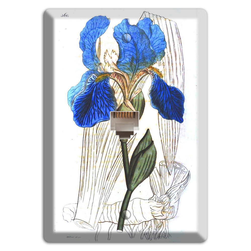Blue Iris Phone Wallplate