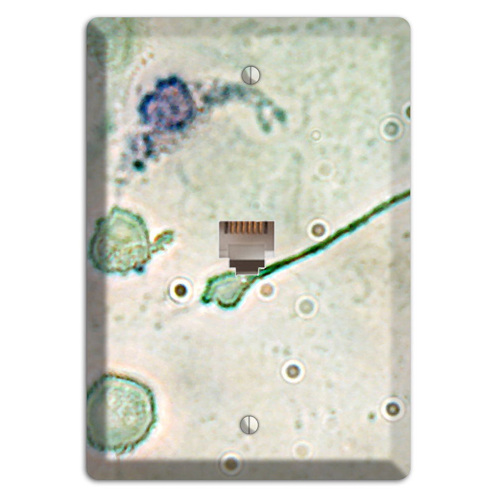 Macrophage Phone Wallplate