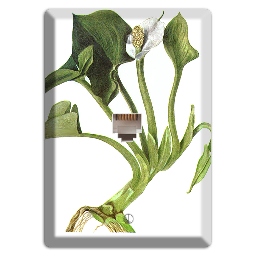 Calla Palustrie Phone Wallplate