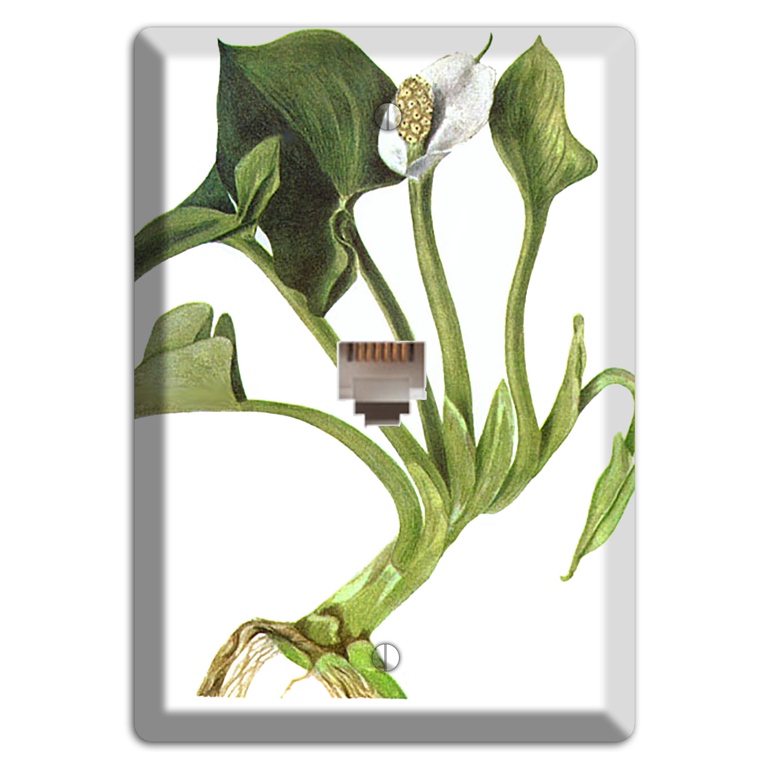Calla Palustrie Phone Wallplate