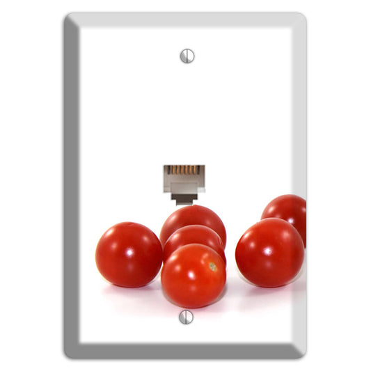 Tomaotes Small Phone Wallplate