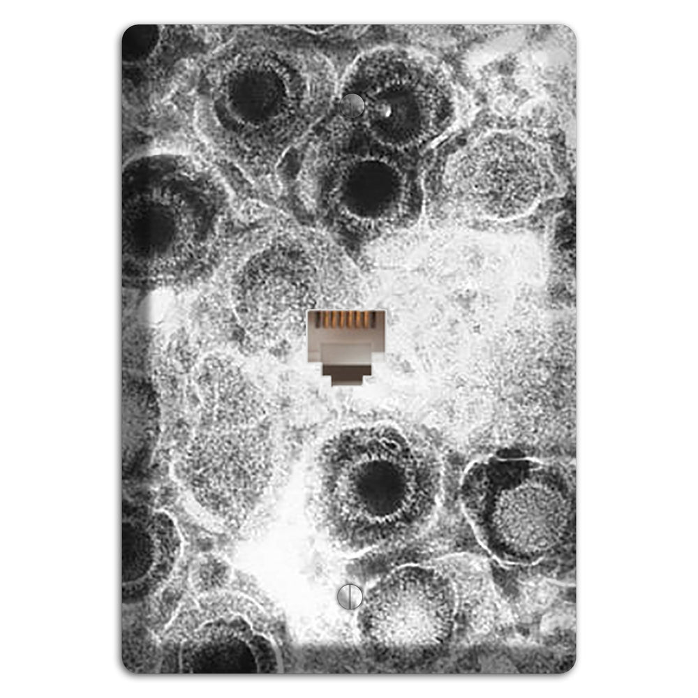 Herpes Simplex Phone Wallplate