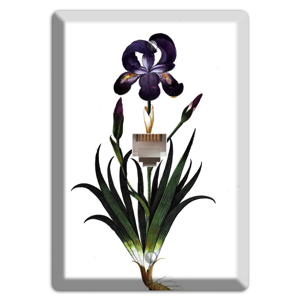 Carnation Phone Wallplate