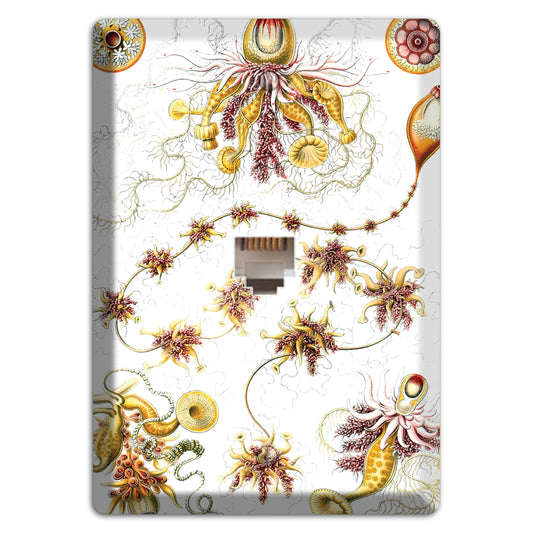 Haeckel - Siphonophorae Phone Wallplate