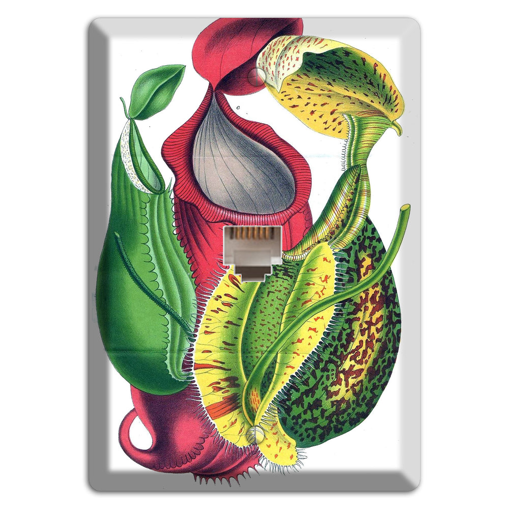 Nepethes Phone Wallplate