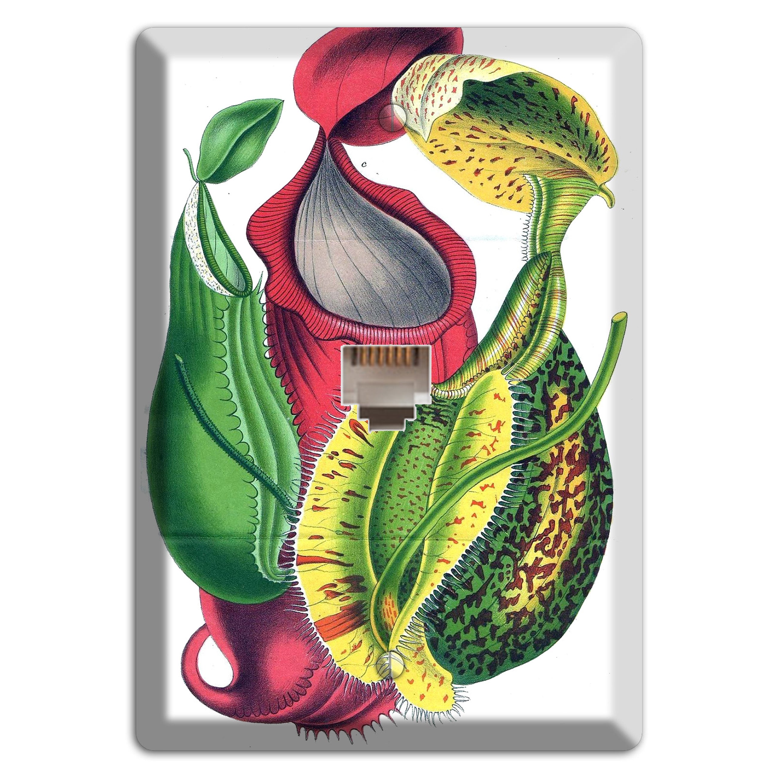 Nepethes Phone Wallplate