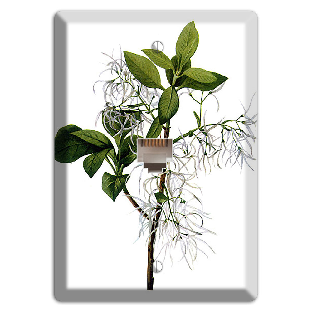 Chionathus Virginiana Phone Wallplate