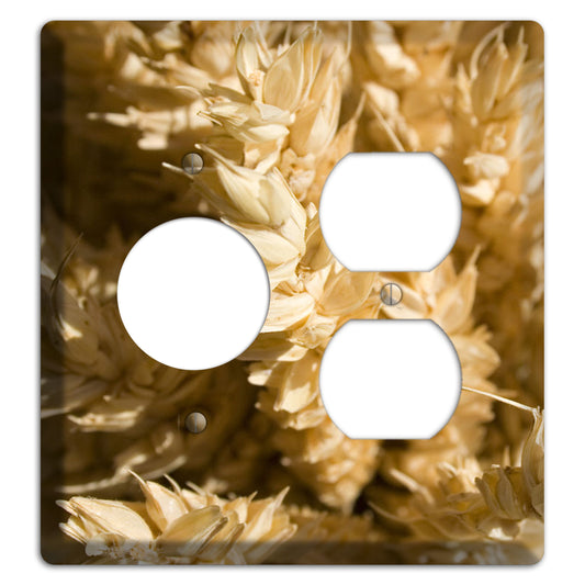 Wheat Receptacle / Duplex Wallplate