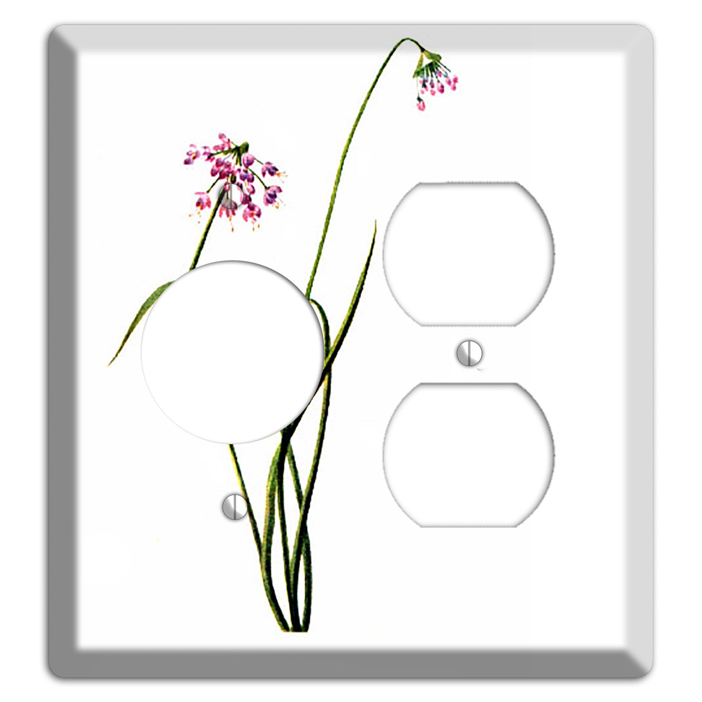 Allium Cernum Receptacle / Duplex Wallplate