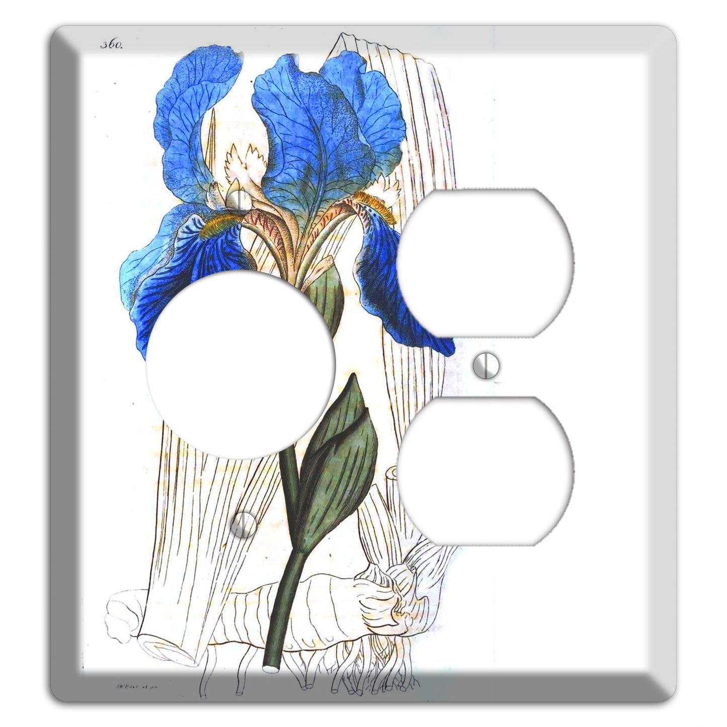 Blue Iris Receptacle / Duplex Wallplate