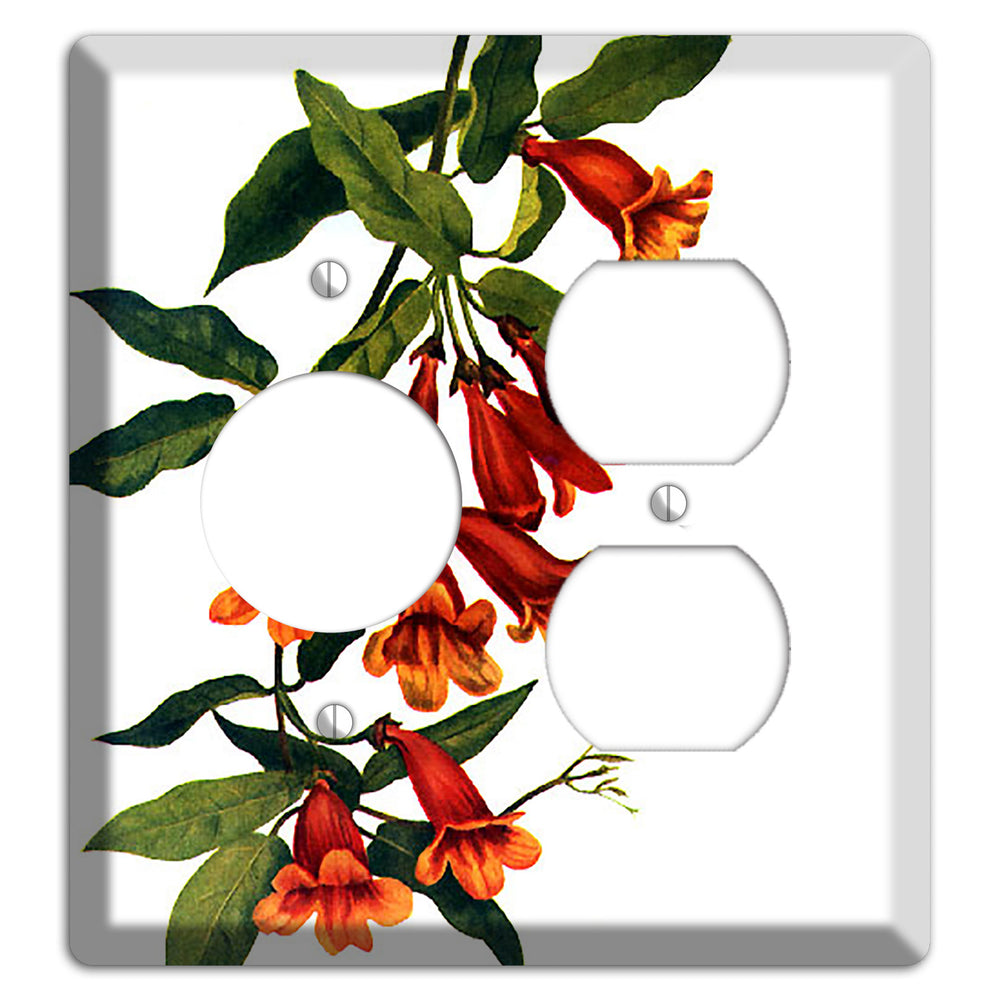 Bigonia Capreolata Receptacle / Duplex Wallplate