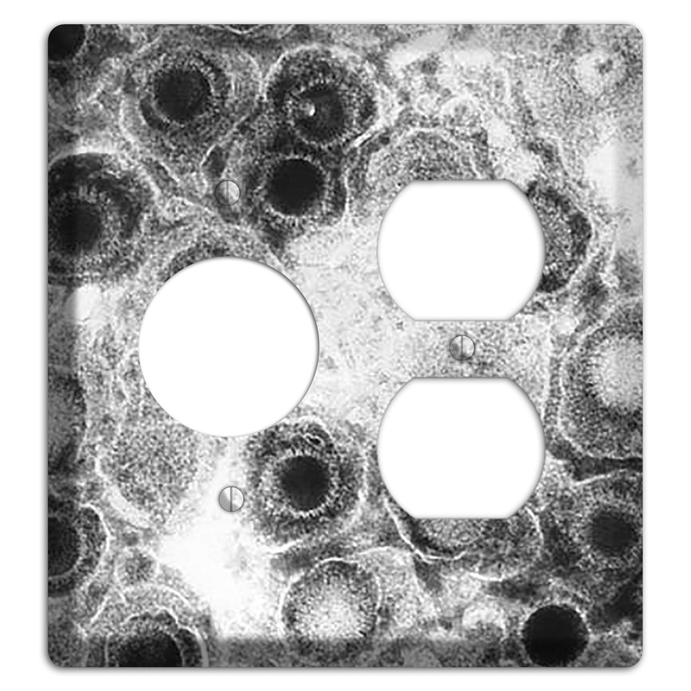 Herpes Simplex Receptacle / Duplex Wallplate