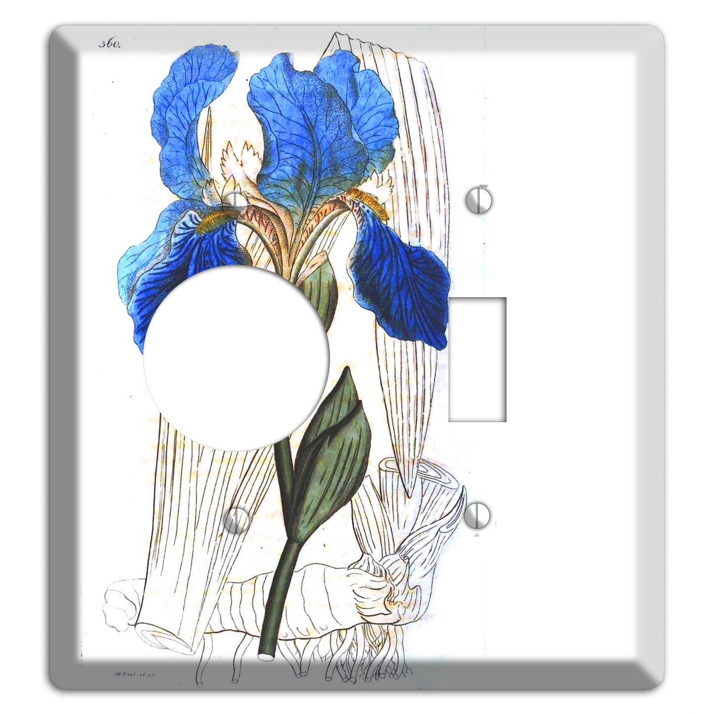 Blue Iris Receptacle / Toggle Wallplate