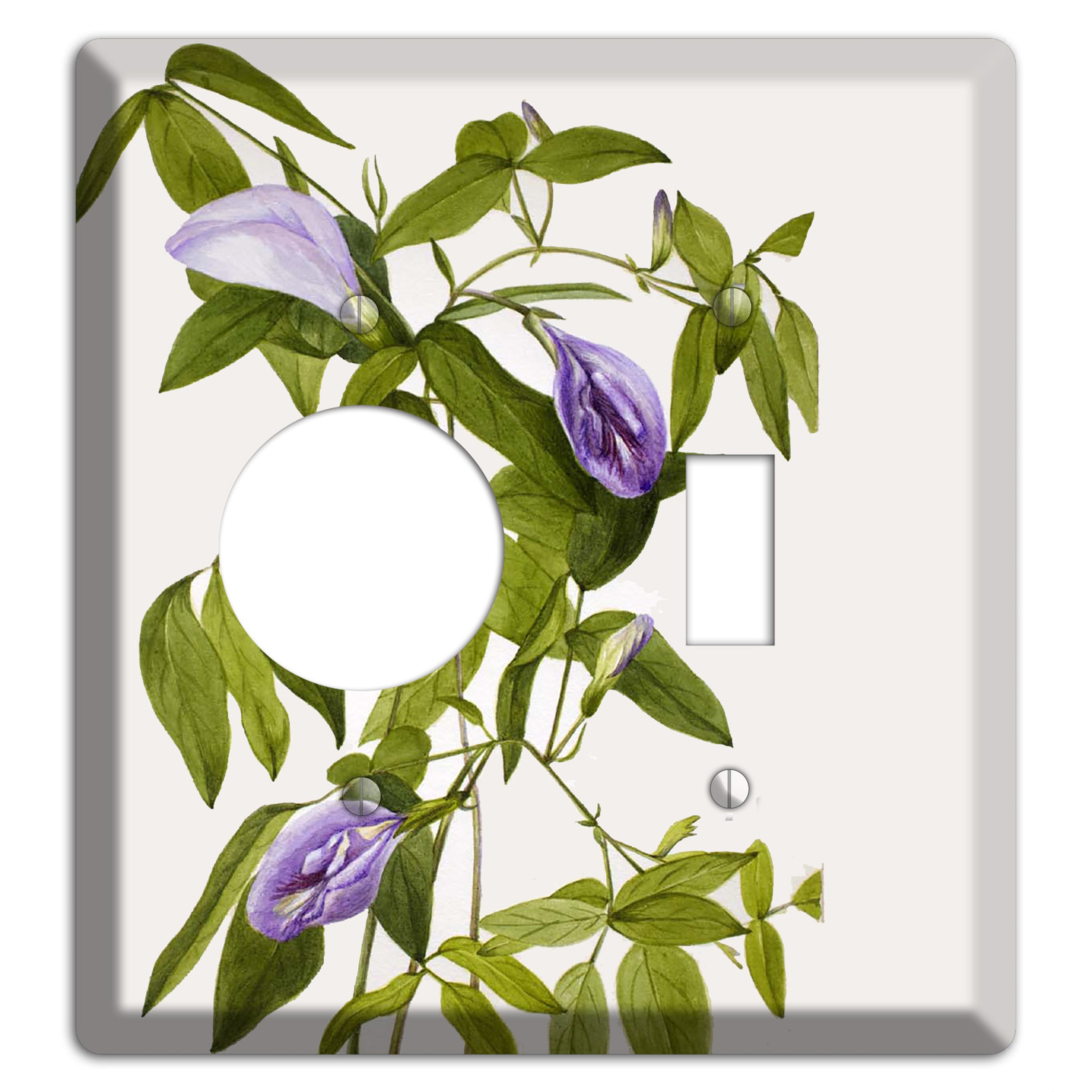 Clitoria Mariana Receptacle / Toggle Wallplate