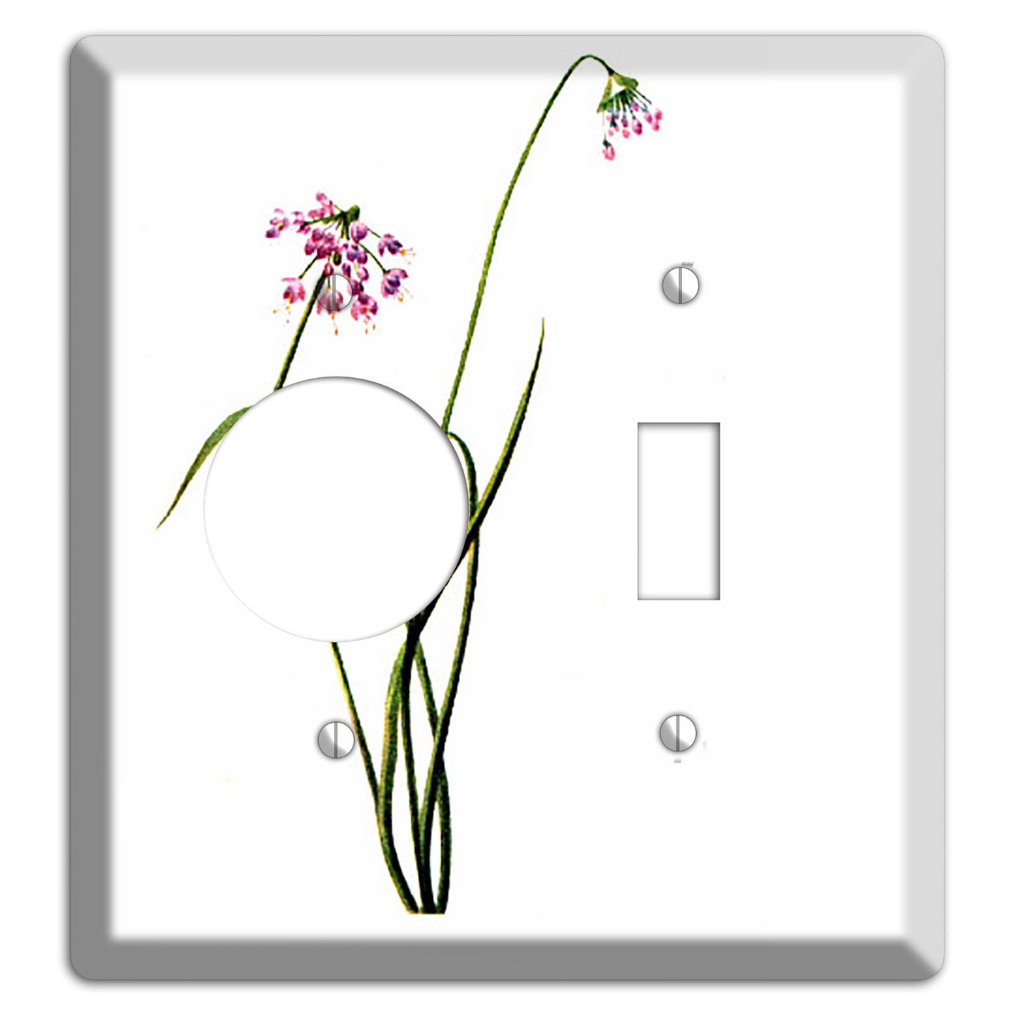 Allium Cernum Receptacle / Toggle Wallplate