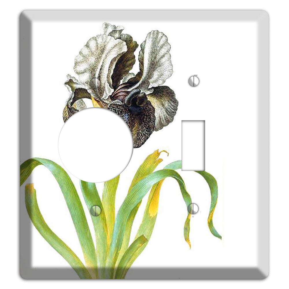Susaniana Receptacle / Toggle Wallplate