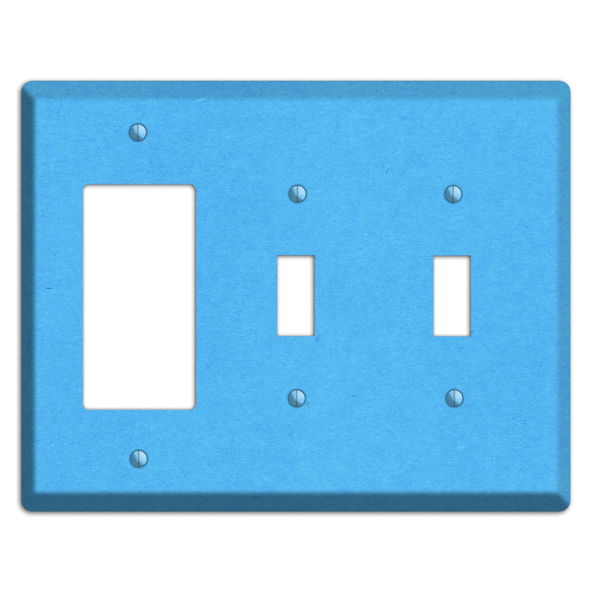 Maya Blue Kraft Rocker / 2 Toggle Wallplate