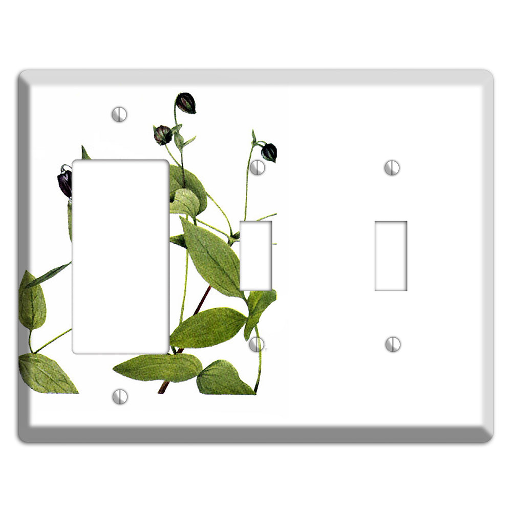 Clematis Viorna Rocker / 2 Toggle Wallplate