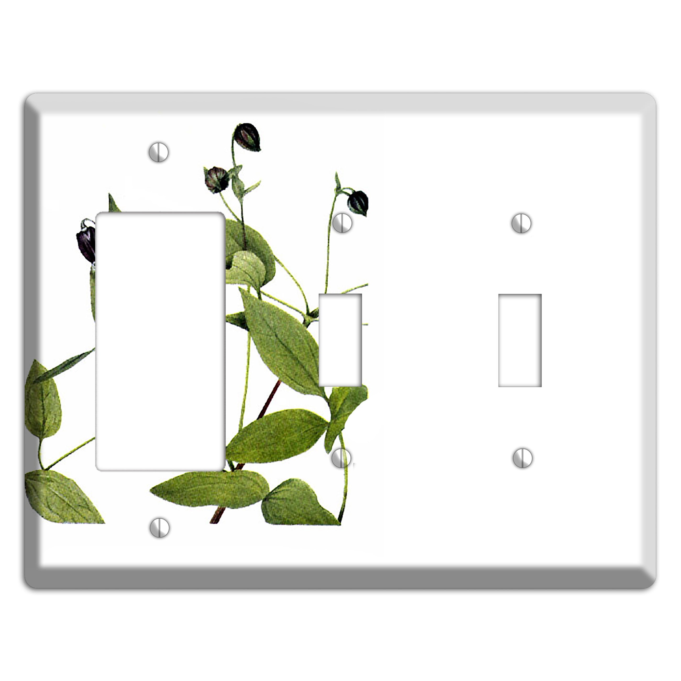 Clematis Viorna Rocker / 2 Toggle Wallplate