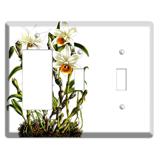 Dendrobium Rocker / 2 Toggle Wallplate