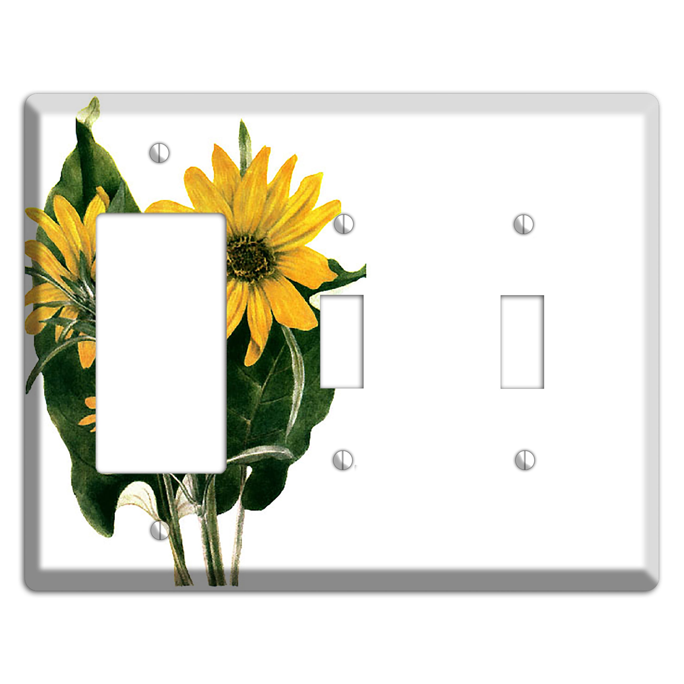 Balsamorhiza Sagittata Rocker / 2 Toggle Wallplate