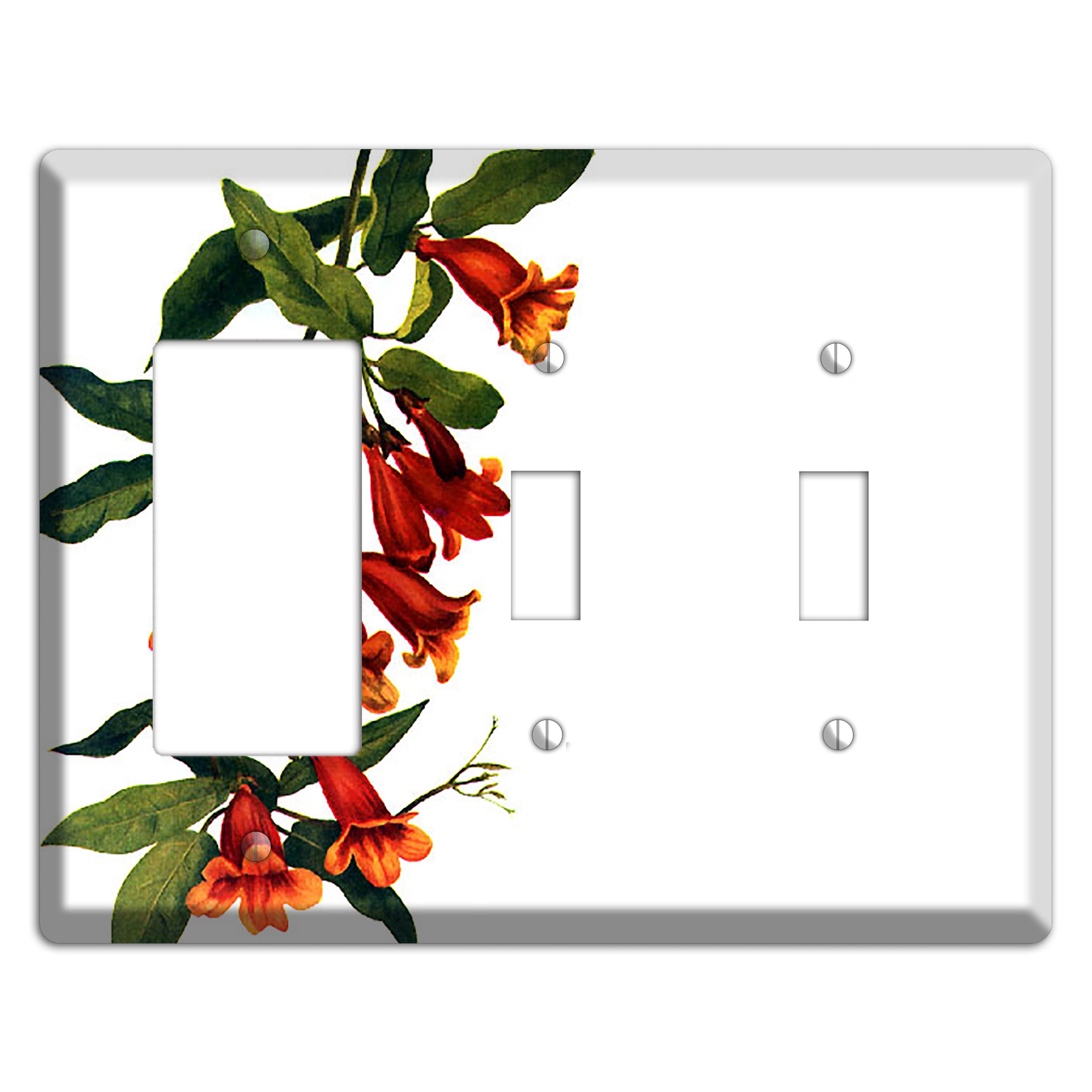 Bigonia Capreolata Rocker / 2 Toggle Wallplate