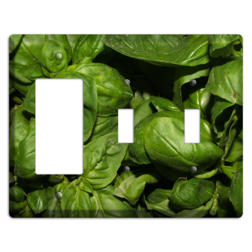 Basil Rocker / 2 Toggle Wallplate