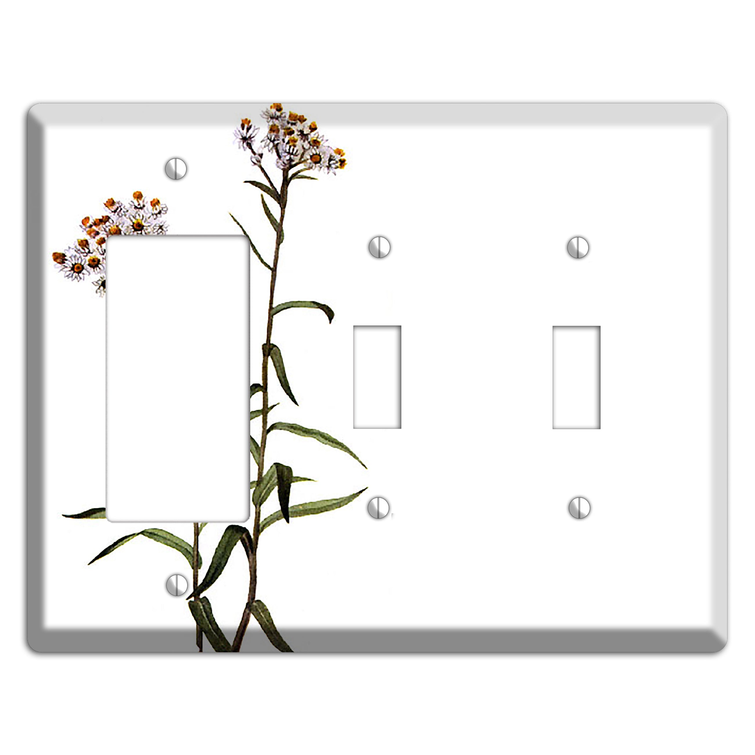 Anaphalis Margoritacea Rocker / 2 Toggle Wallplate