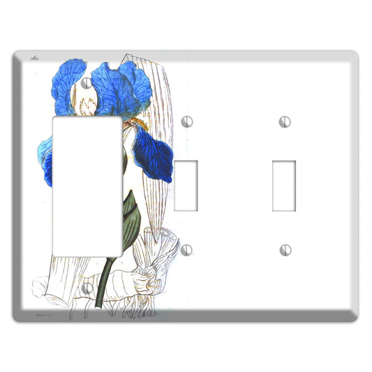 Blue Iris Rocker / 2 Toggle Wallplate