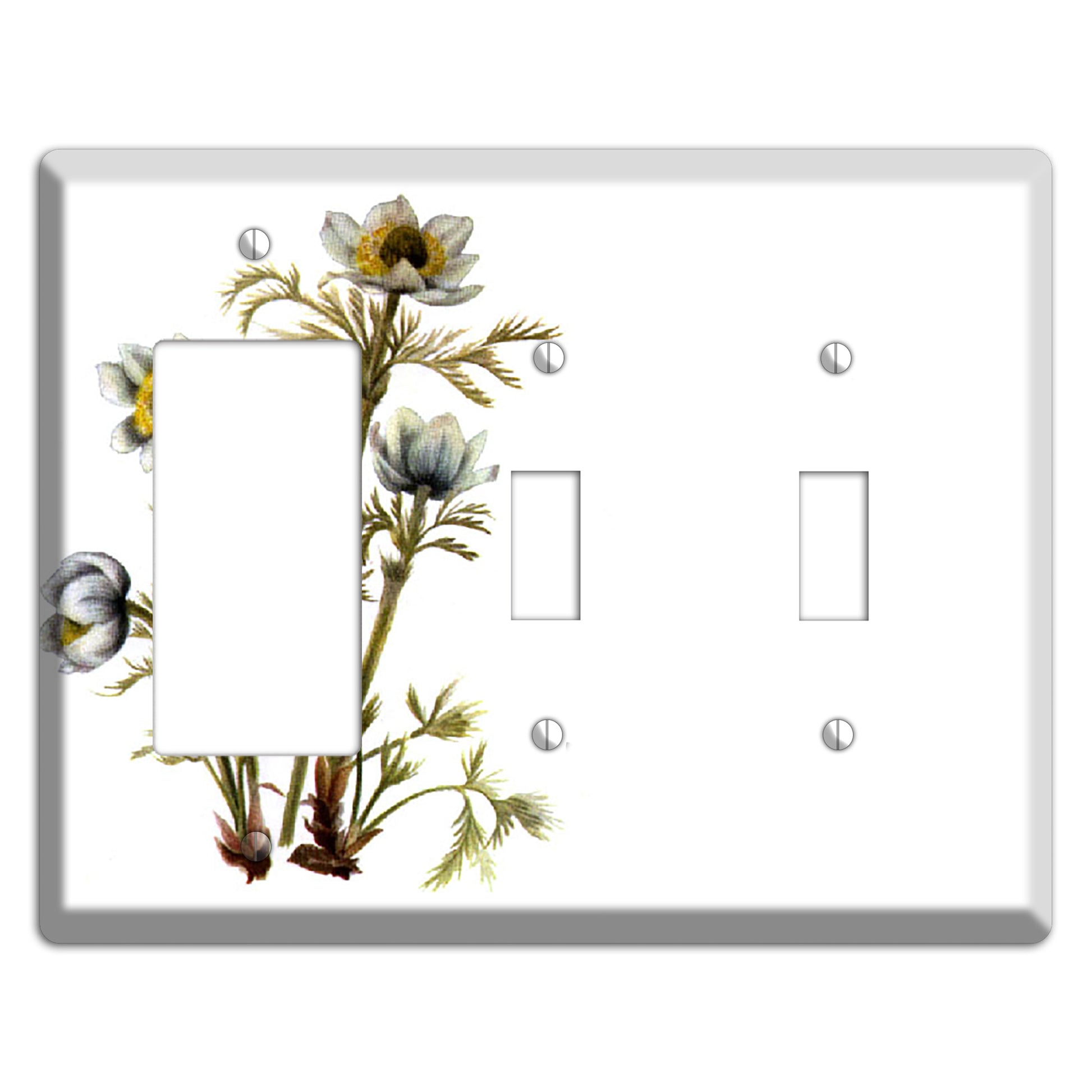 Aenmone Occitentalis Rocker / 2 Toggle Wallplate