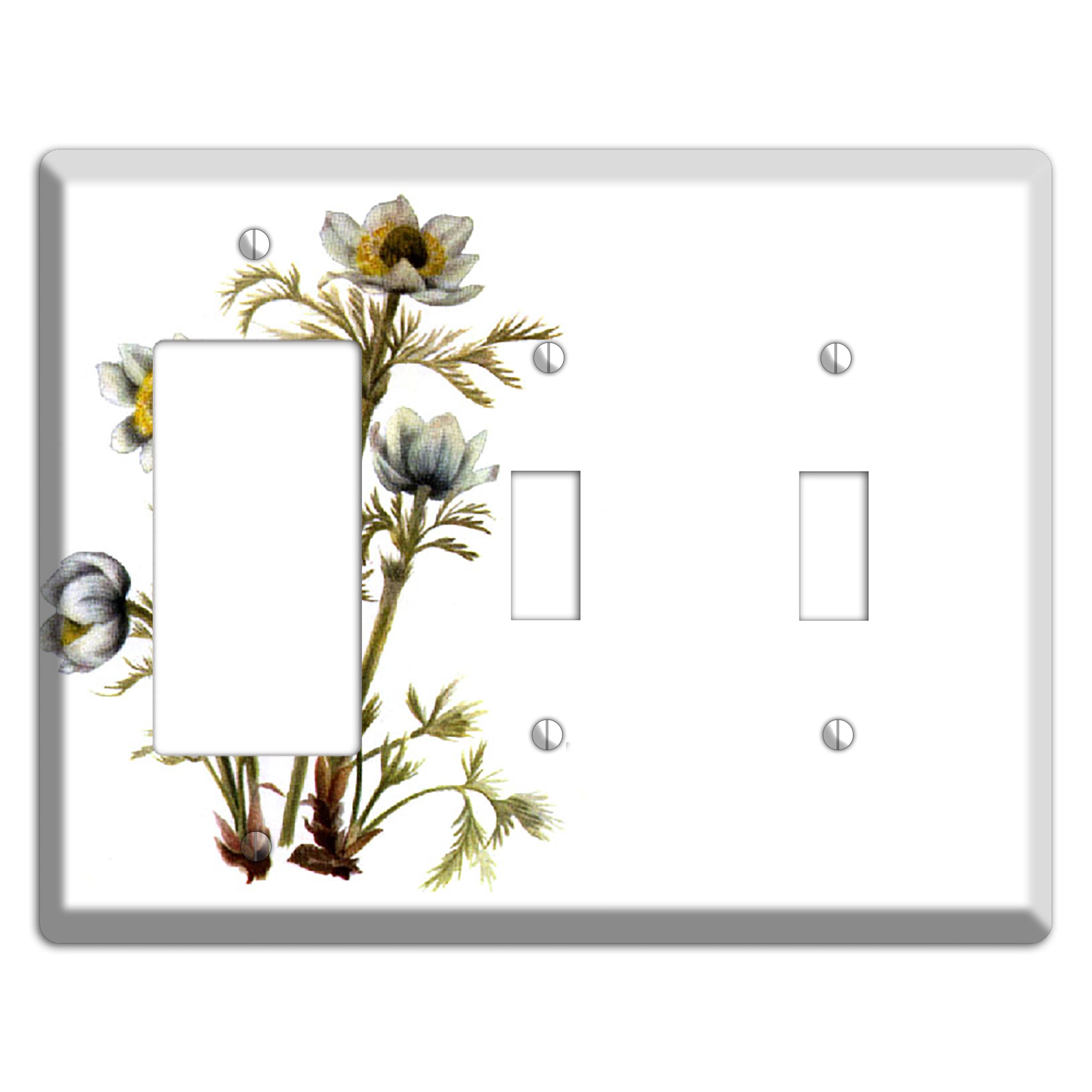 Aenmone Occitentalis Rocker / 2 Toggle Wallplate