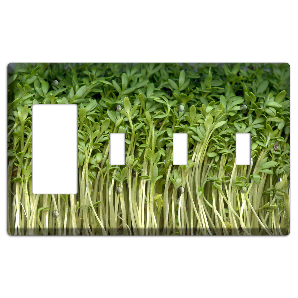 Sprouts Rocker / 3 Toggle Wallplate