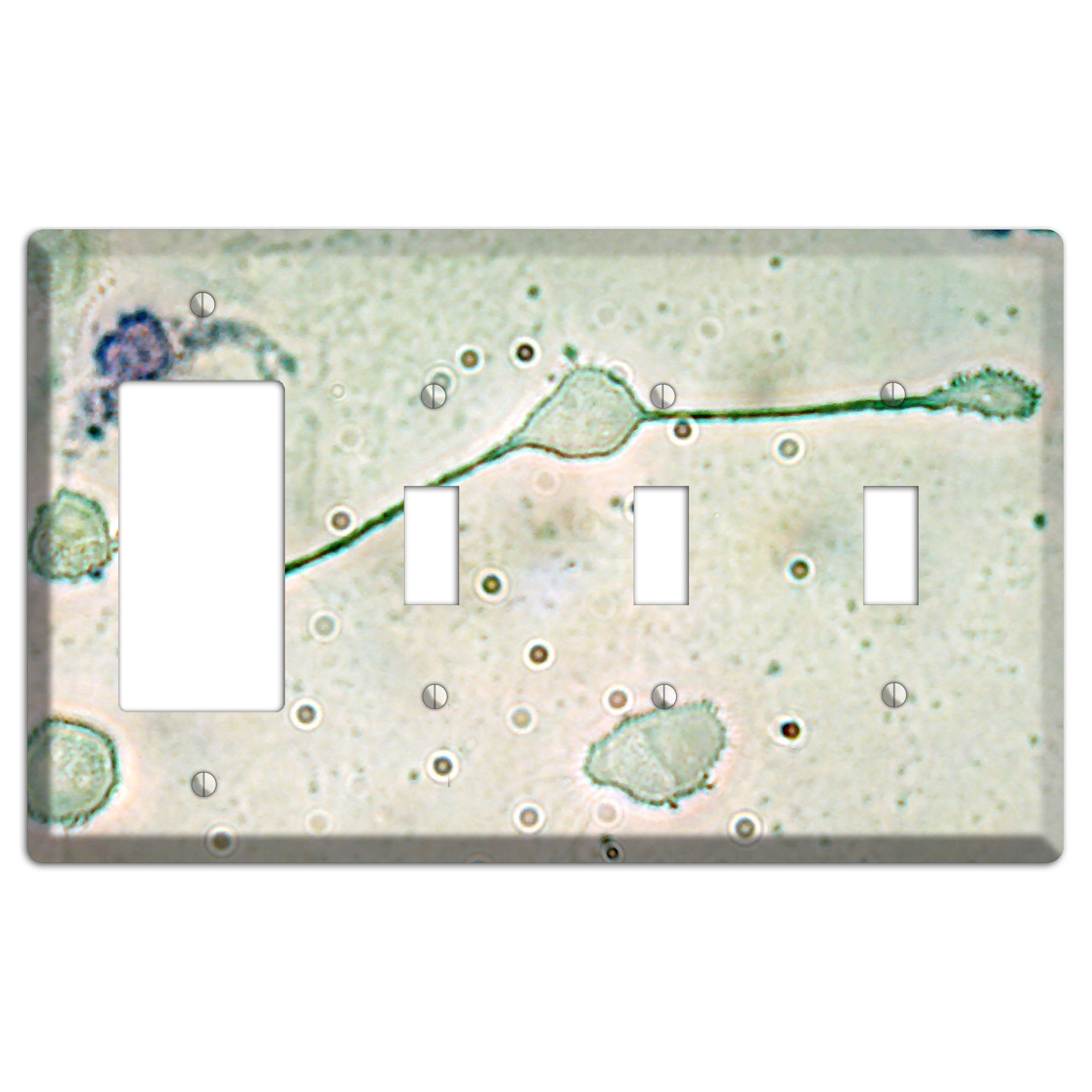 Macrophage Rocker / 3 Toggle Wallplate