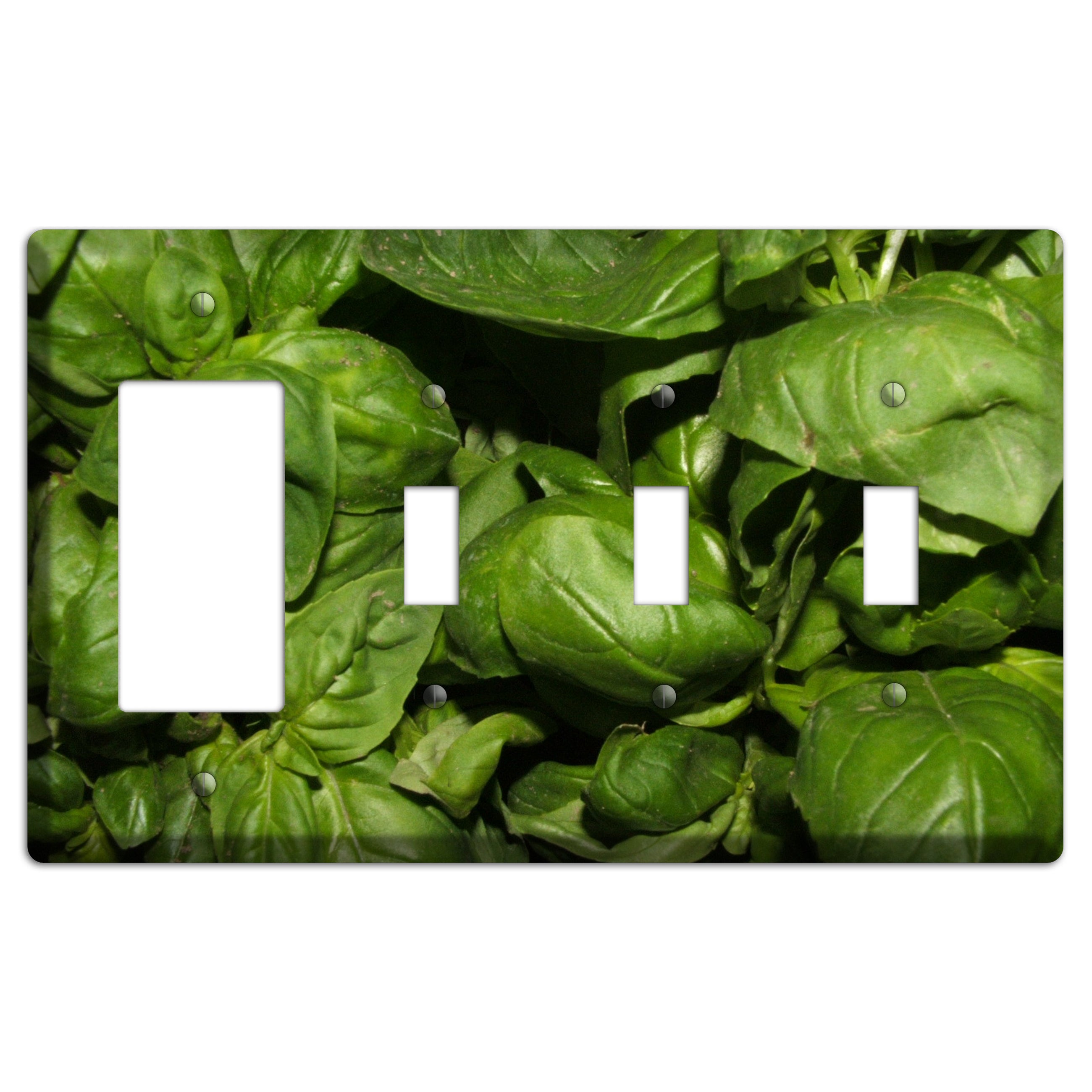 Basil Rocker / 3 Toggle Wallplate