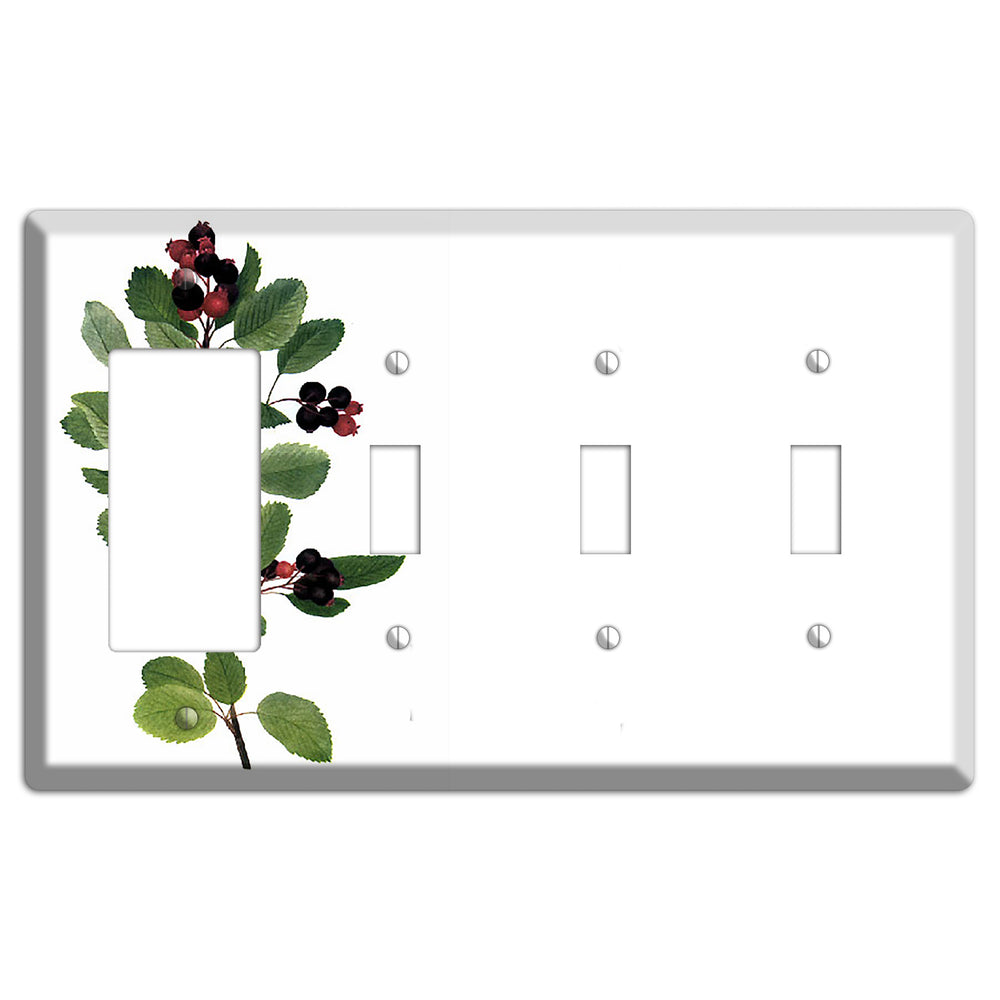 Amelanchier Ainifolia Rocker / 3 Toggle Wallplate