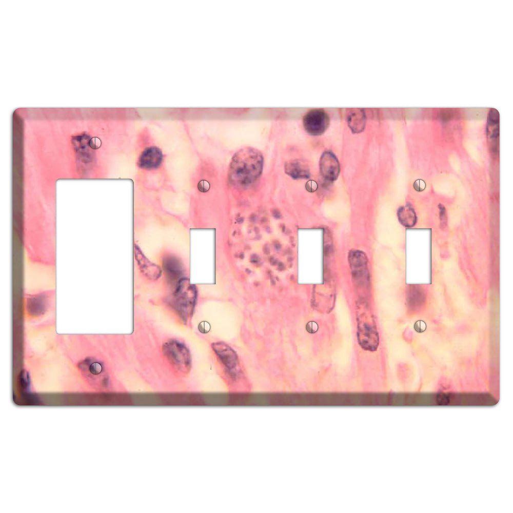 Trypanosoma Cruzi Heart Rocker / 3 Toggle Wallplate