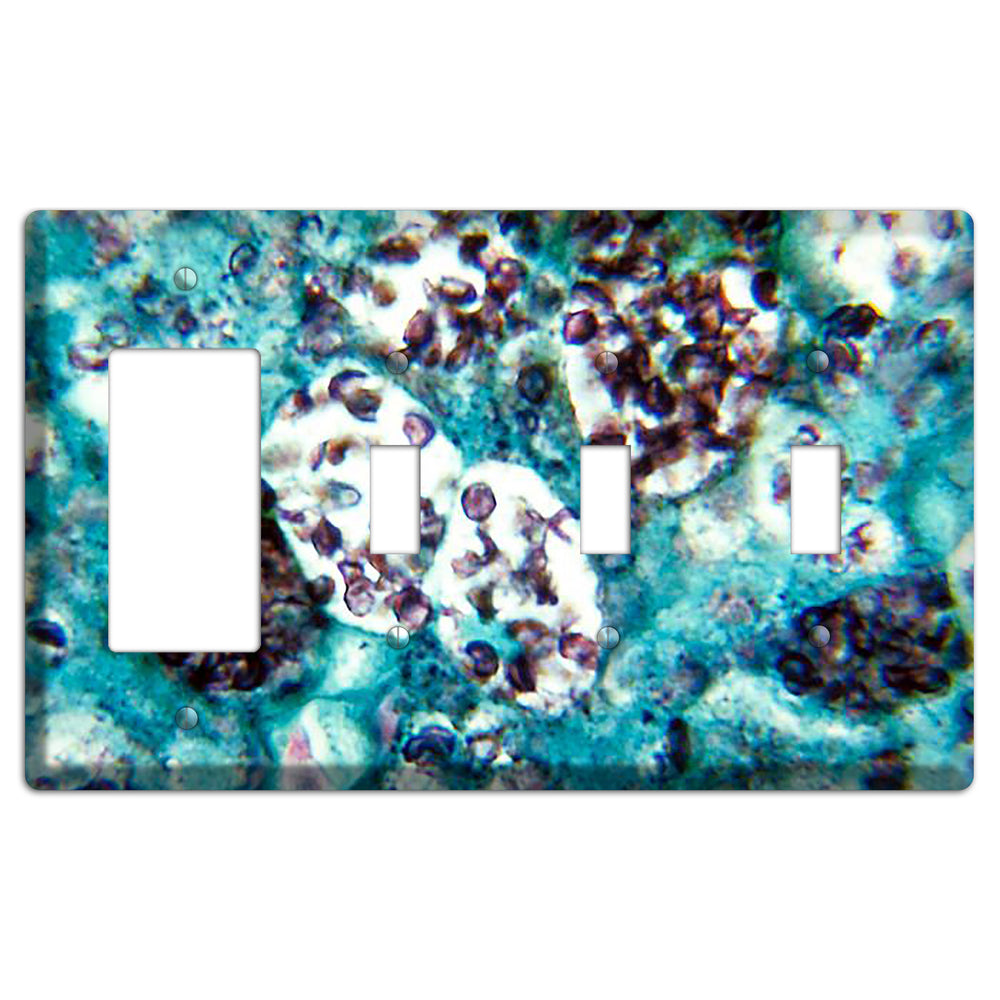 Histoplasmosis Capsulatum Rocker / 3 Toggle Wallplate