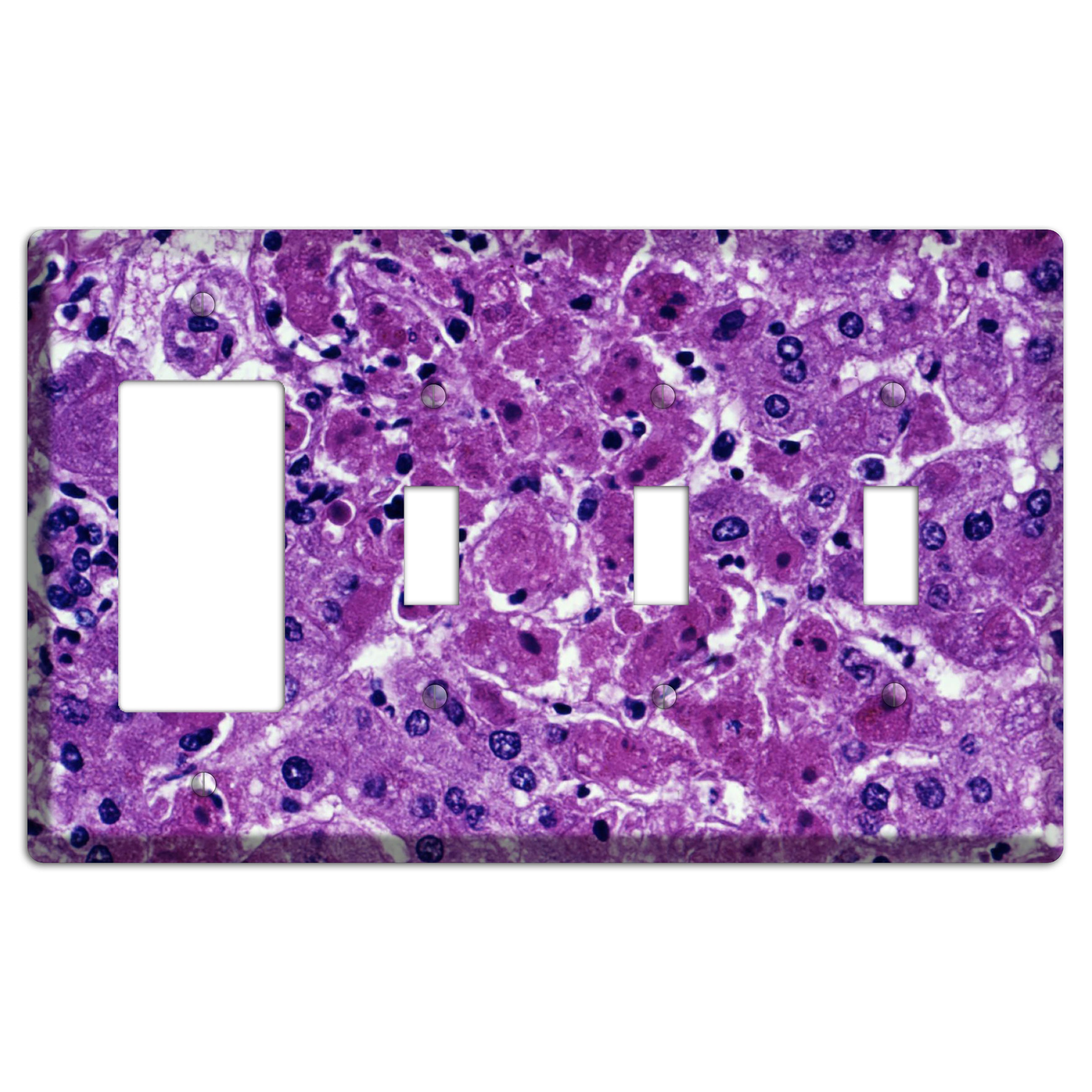 Marburg Rocker / 3 Toggle Wallplate