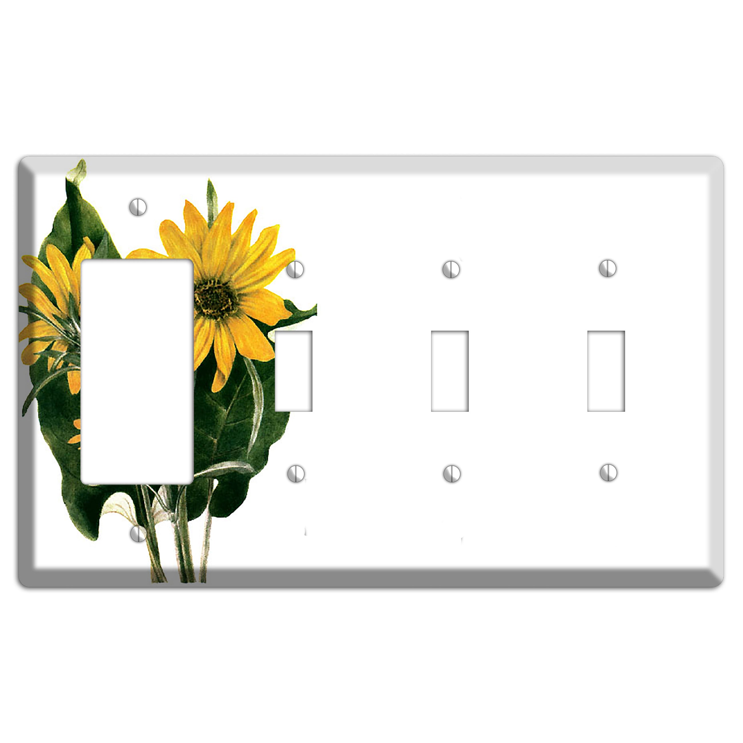 Balsamorhiza Sagittata Rocker / 3 Toggle Wallplate
