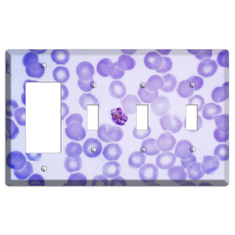 Plasmodium Malariae Schizont Rocker / 3 Toggle Wallplate