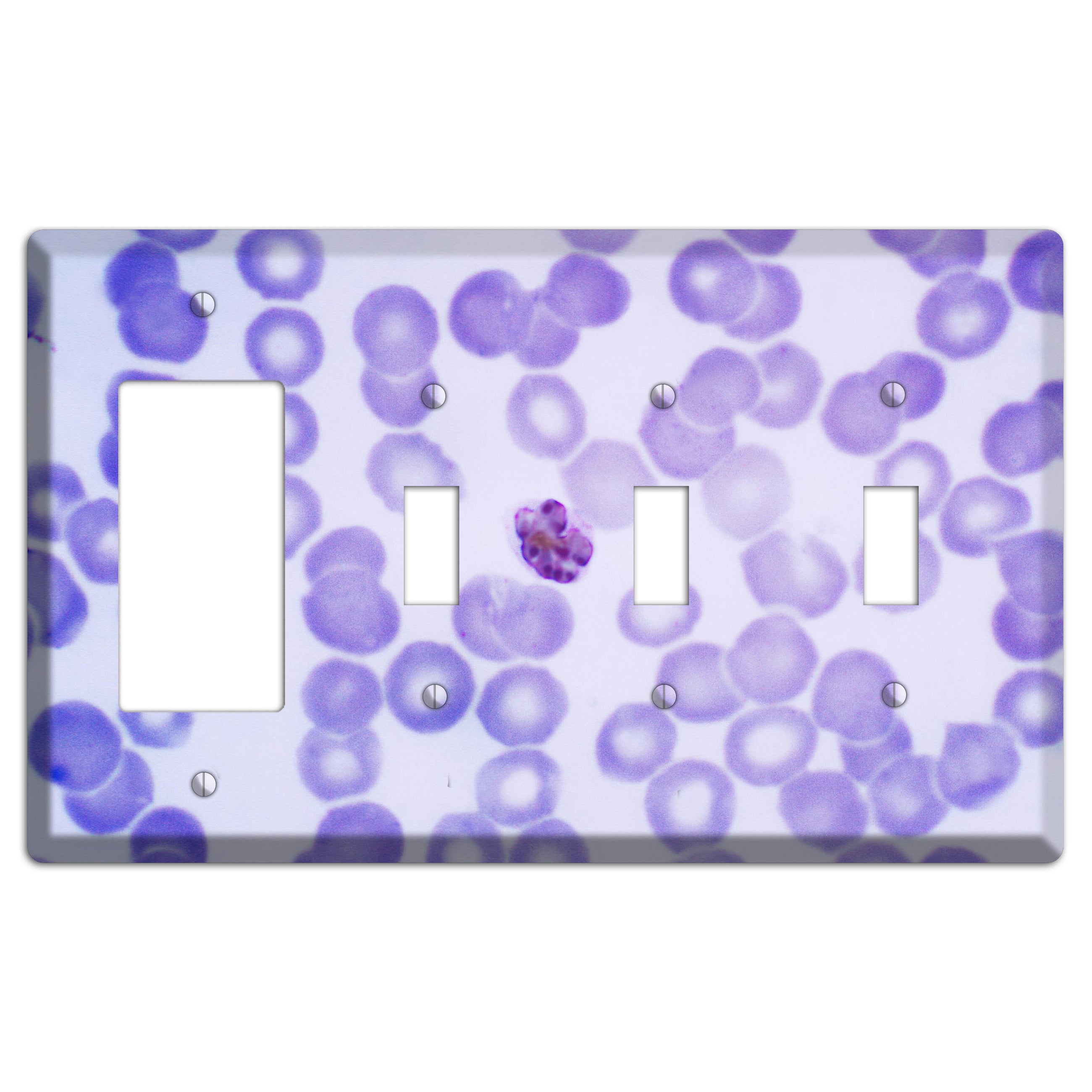 Plasmodium Malariae Schizont Rocker / 3 Toggle Wallplate