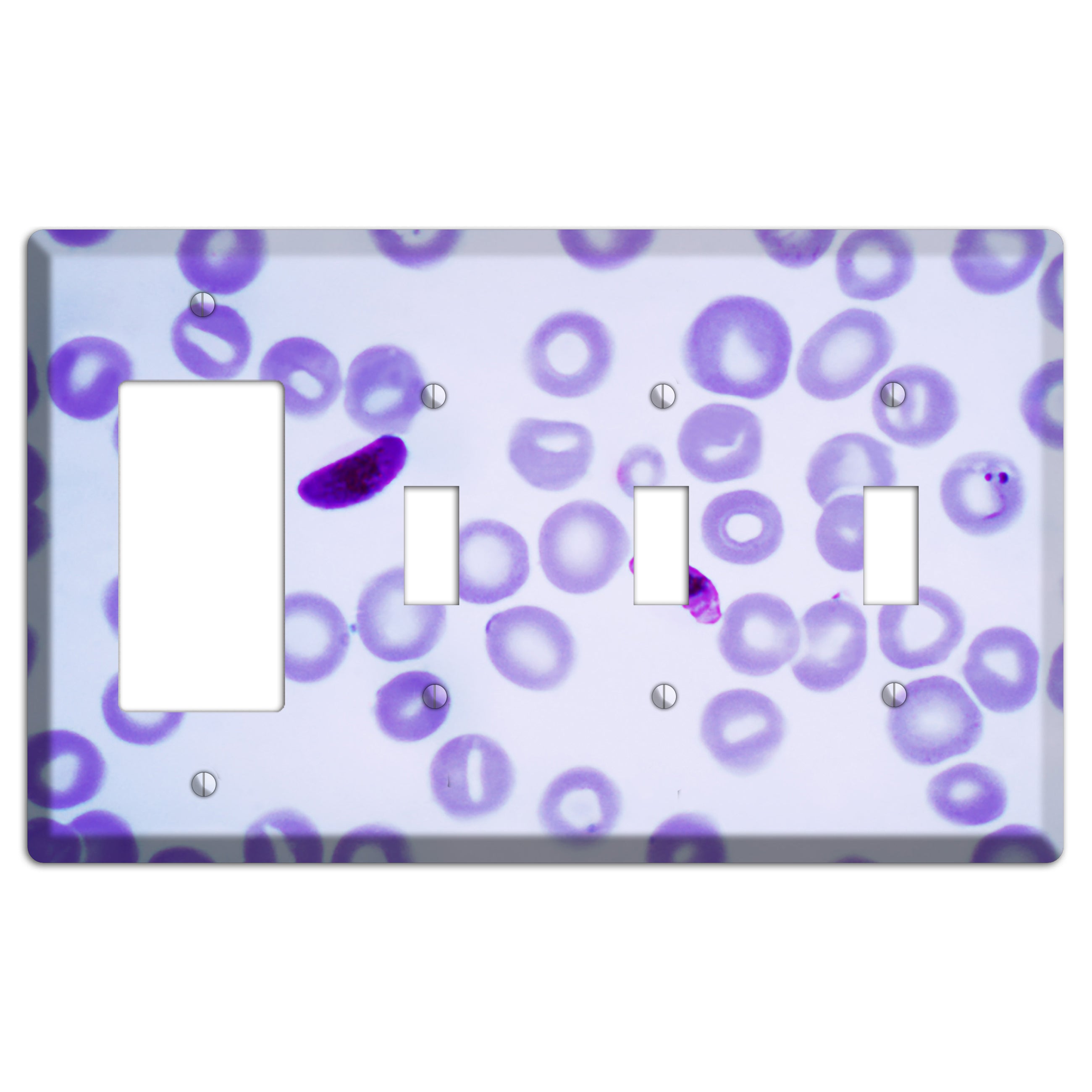Plasmodium Falciparum Rocker / 3 Toggle Wallplate