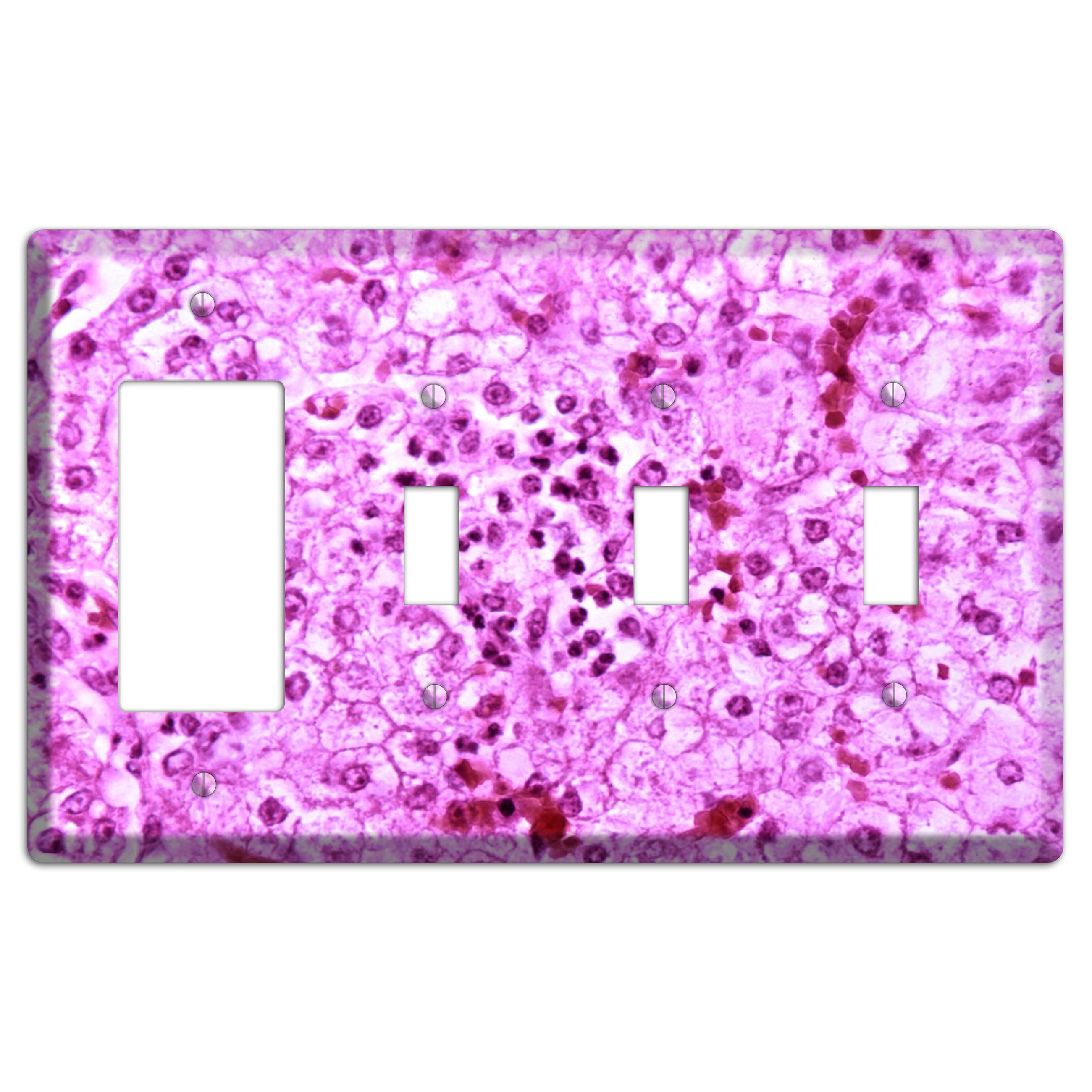 Lores Rocker / 3 Toggle Wallplate