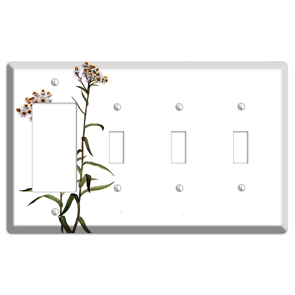 Anaphalis Margoritacea Rocker / 3 Toggle Wallplate