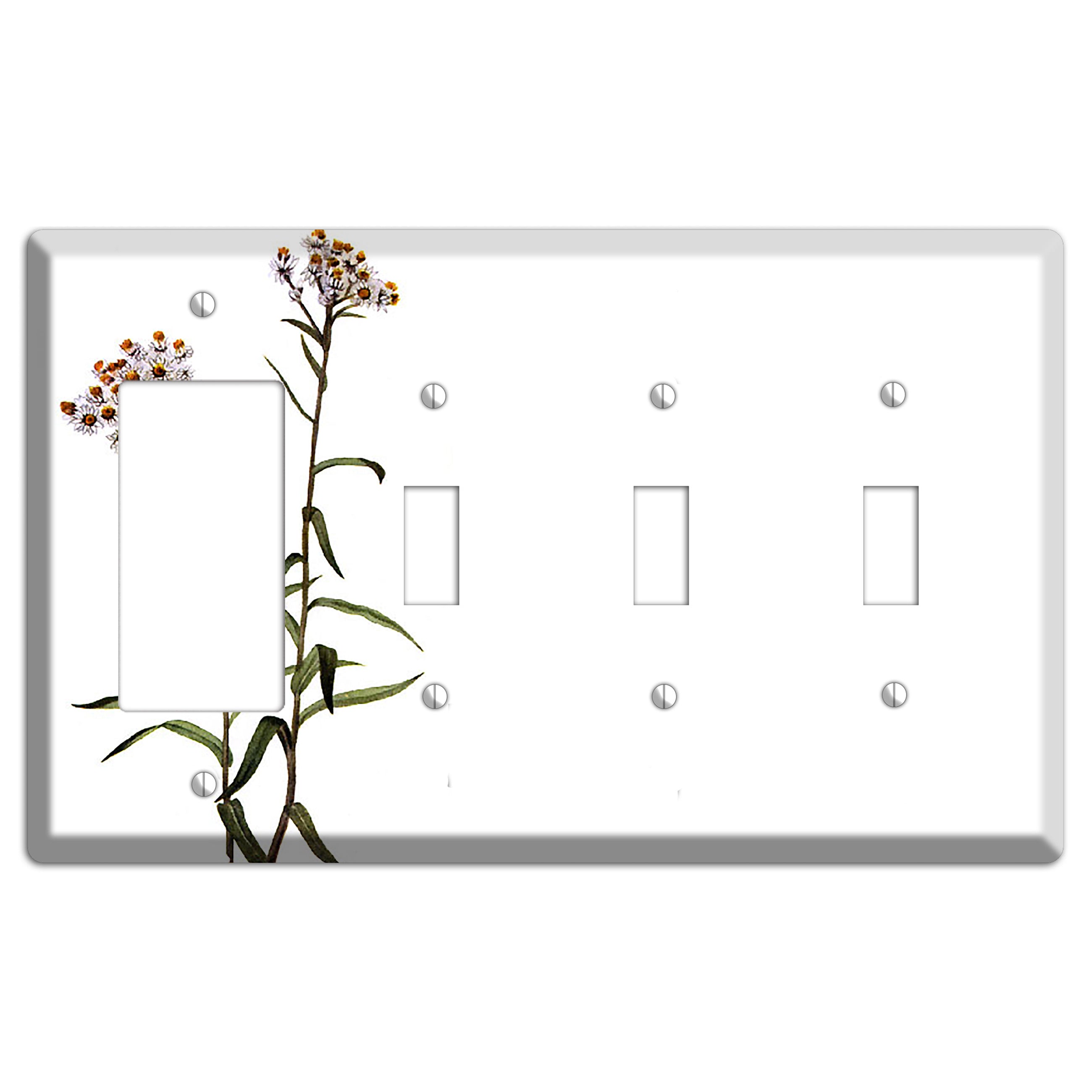 Anaphalis Margoritacea Rocker / 3 Toggle Wallplate