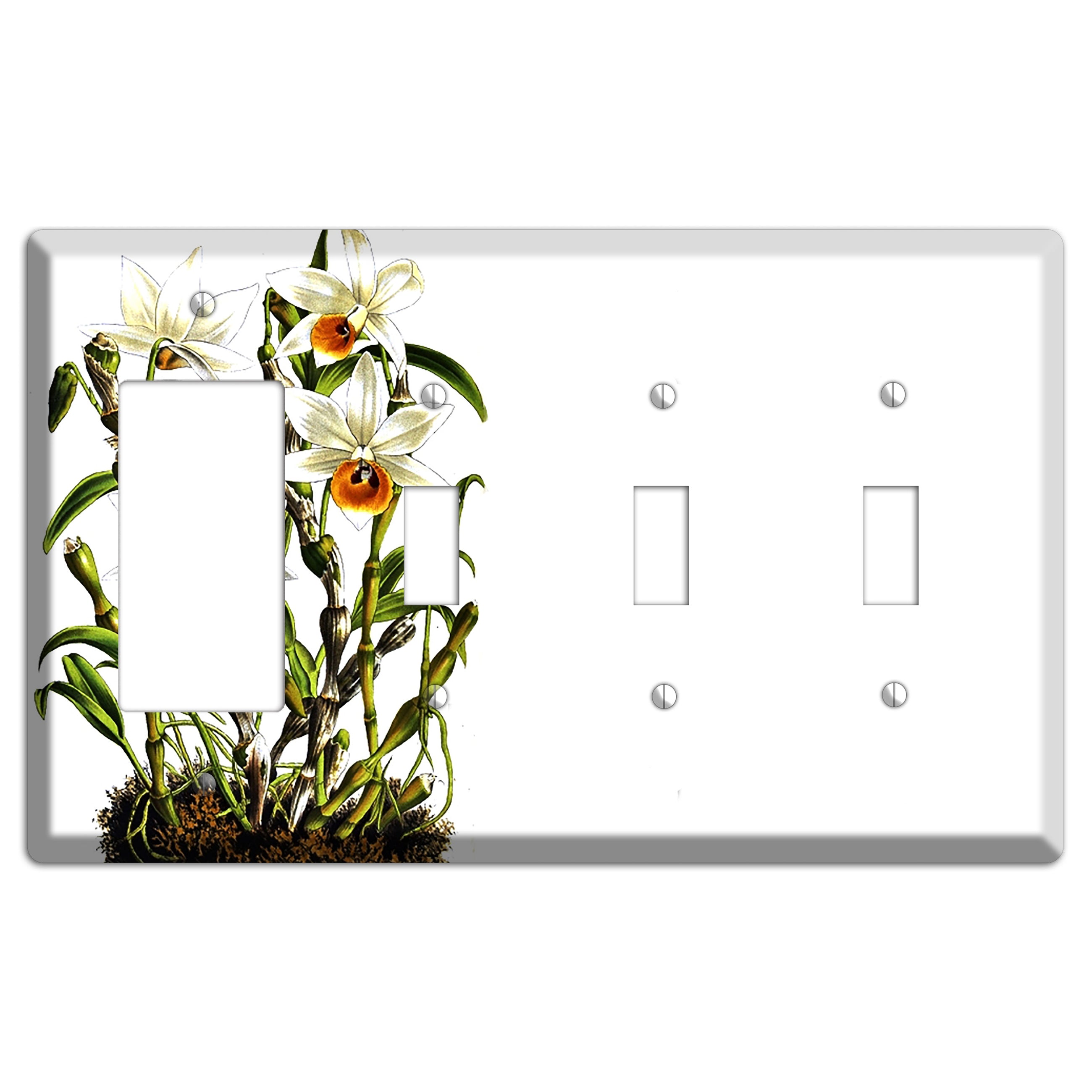 Dendrobium Rocker / 3 Toggle Wallplate