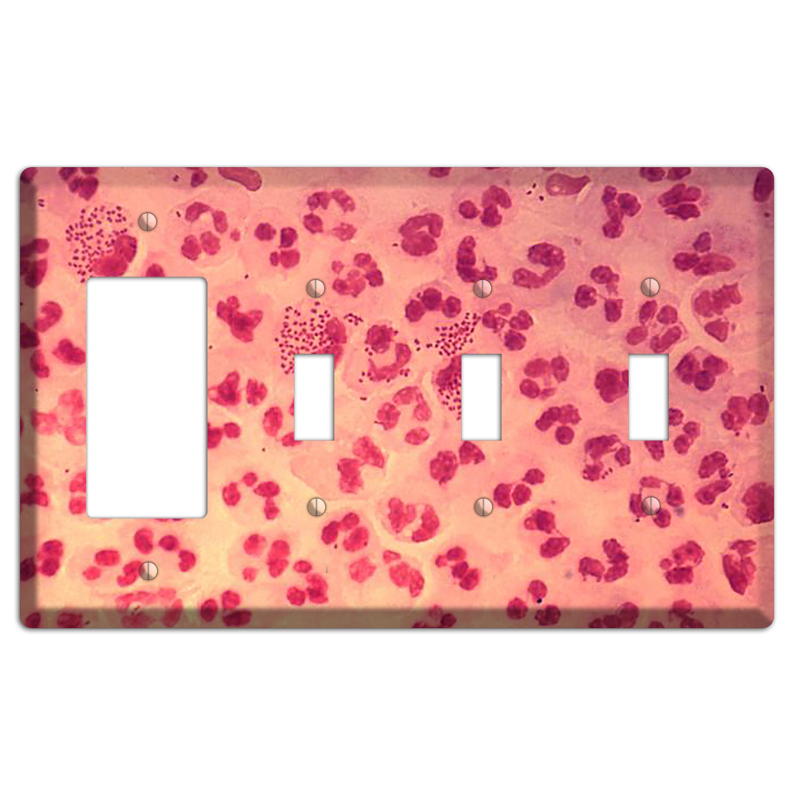Gonococcal Urethritis Rocker / 3 Toggle Wallplate