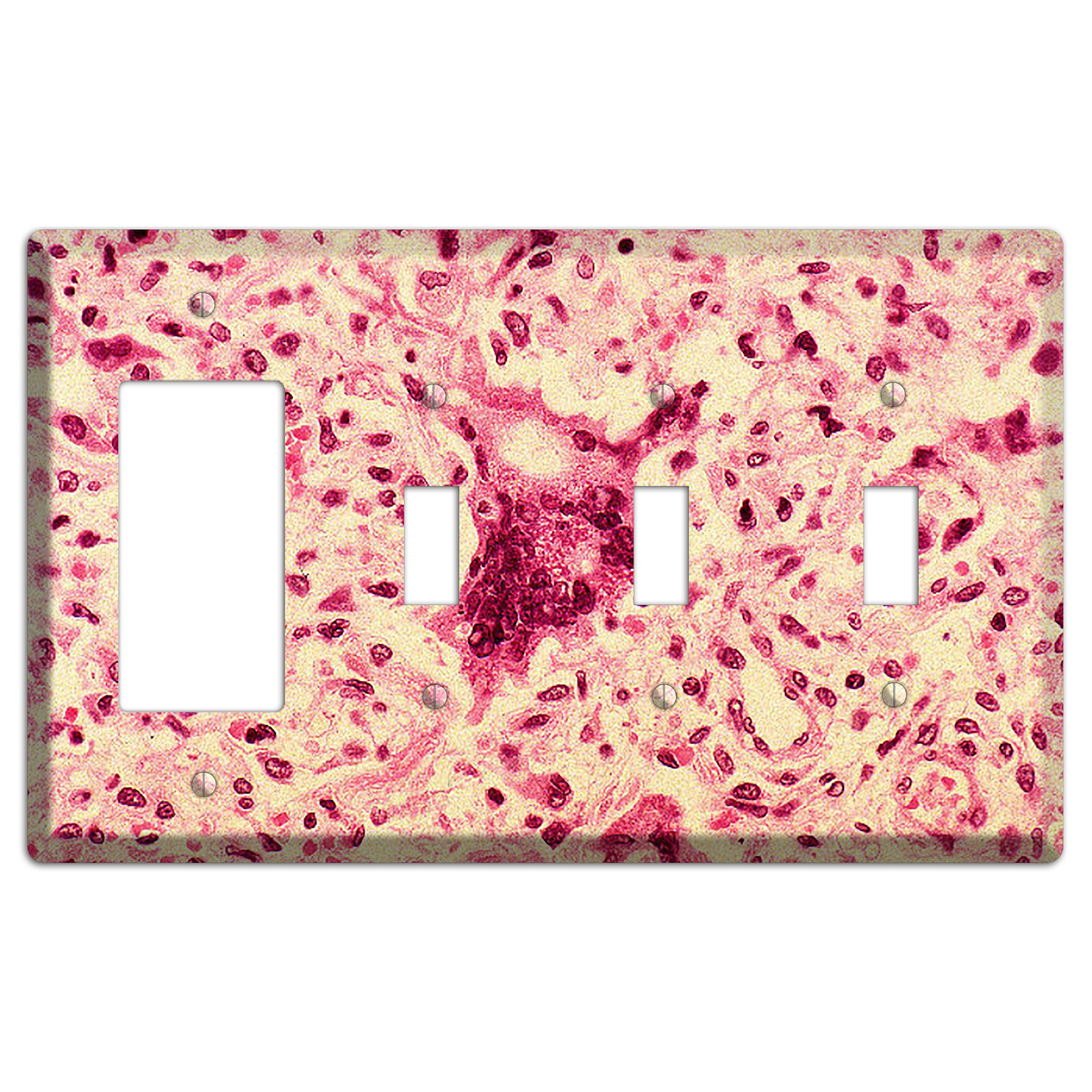 Morbillo Rocker / 3 Toggle Wallplate