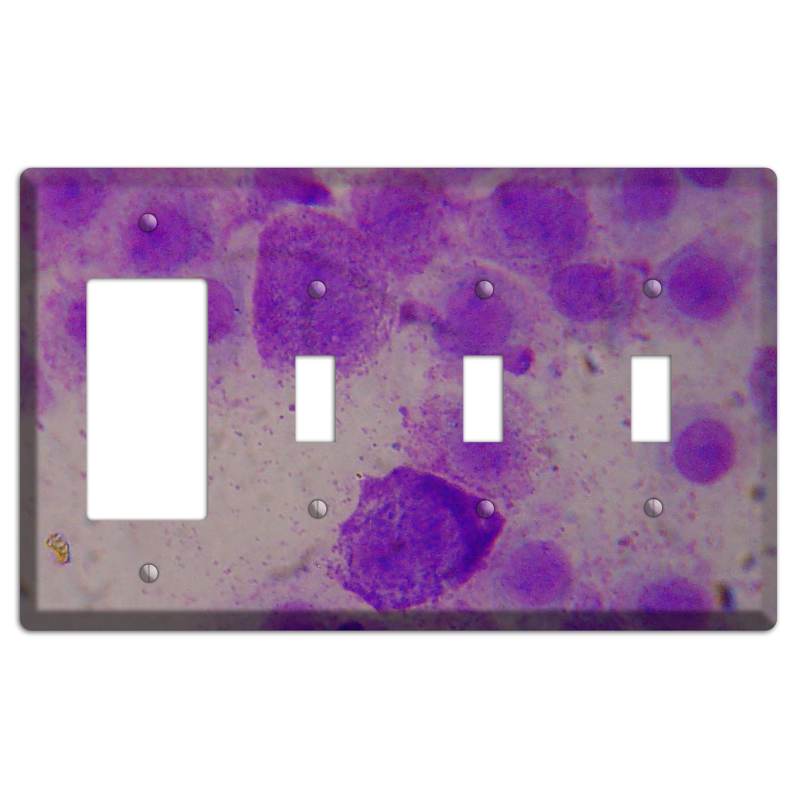 Mast Cell Tumor Rocker / 3 Toggle Wallplate