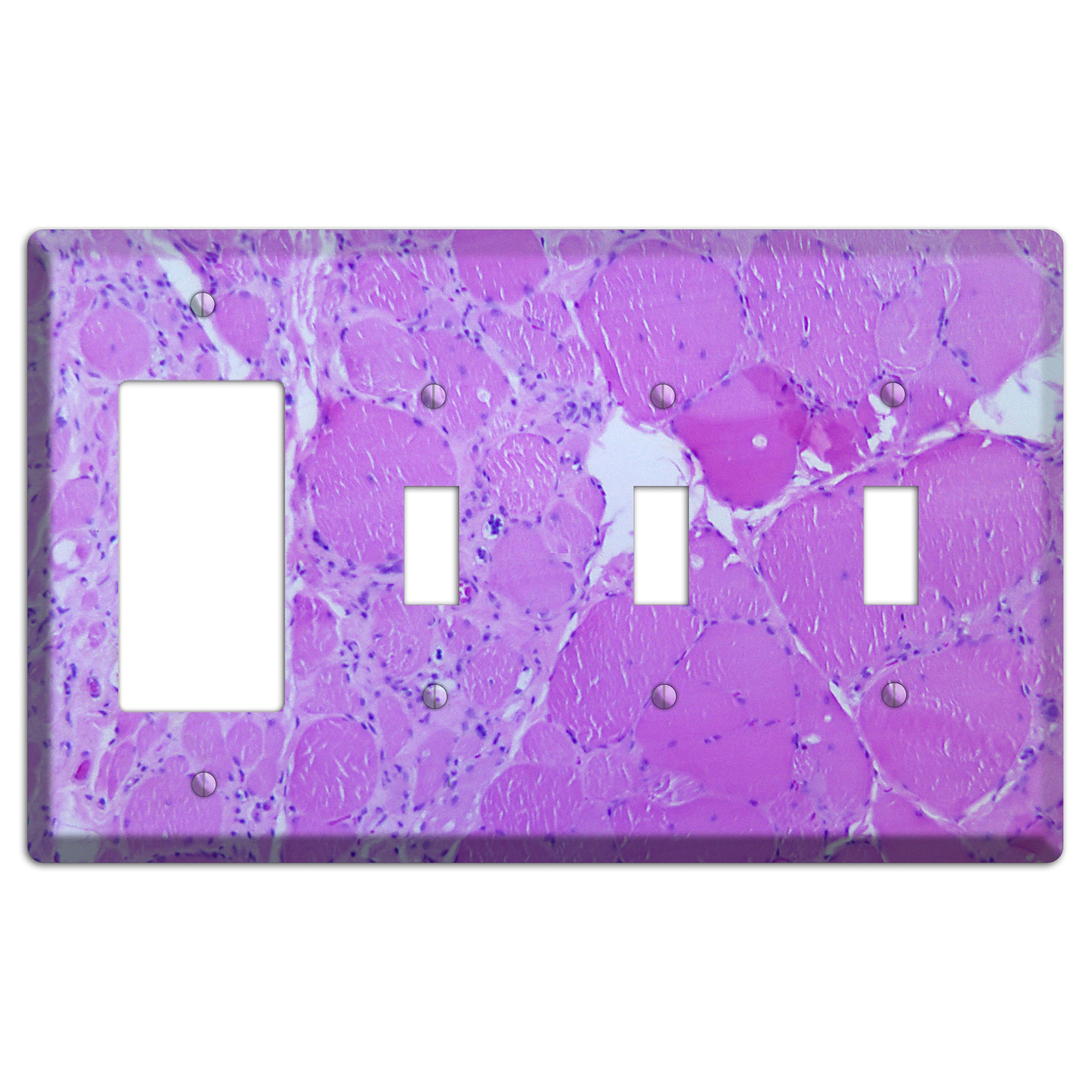 Poliovirus Myotonic Dystrophic Rocker / 3 Toggle Wallplate
